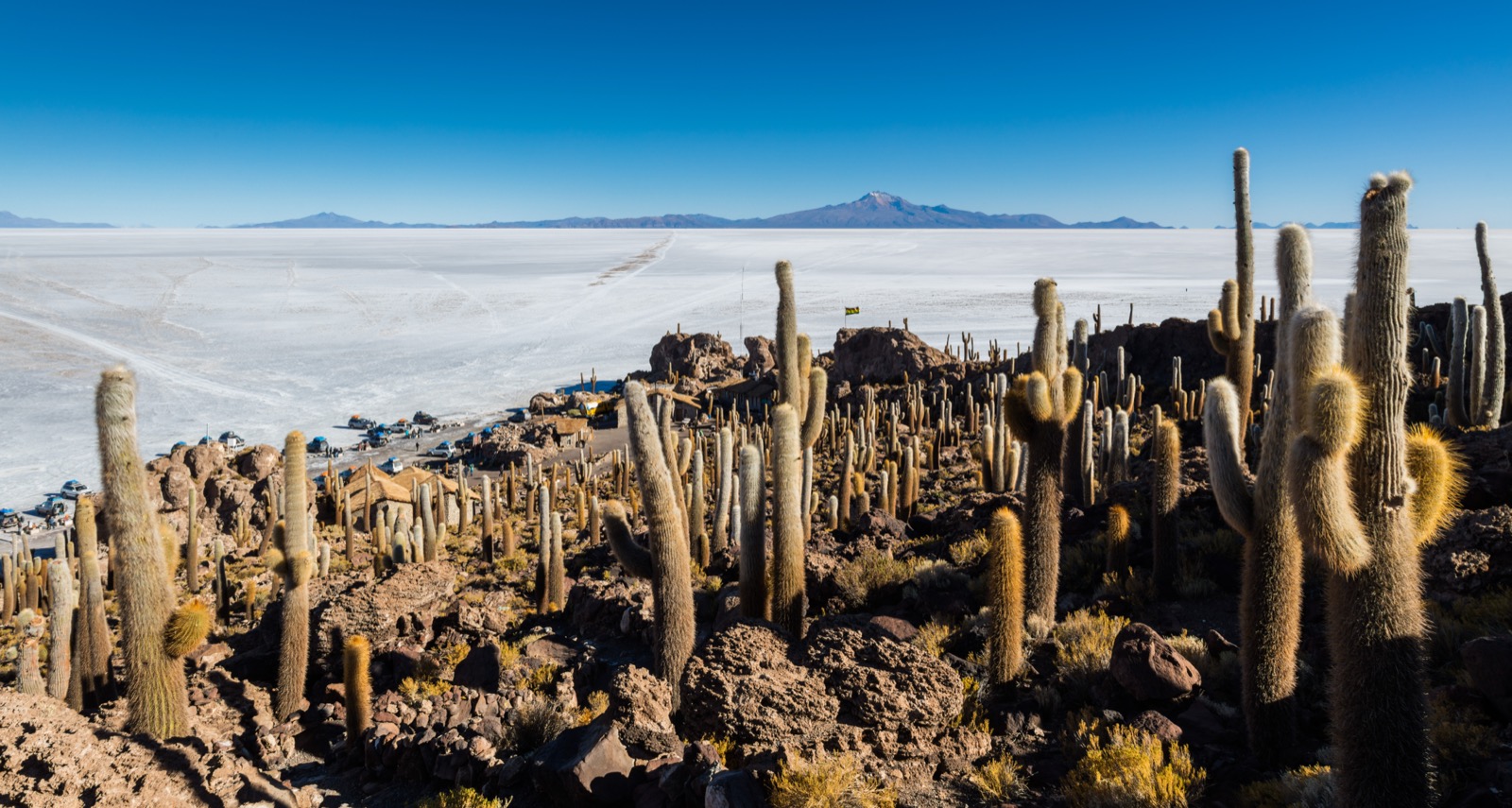 The Salar de Uyuni from the cactus-covered Incahuasi island: the Stage 4 start competition of 15 May 2006 sent the teams by mountain bike, on foot and in their Land Rovers between the salt flat's islands at 4,000 m.